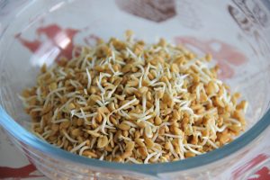 fenugreek sprouts