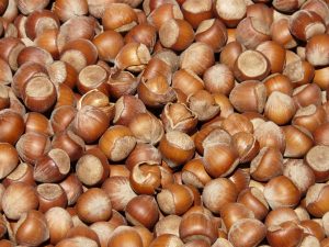 hazelnuts