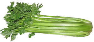 celery